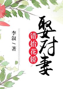 错抬花轿娶对妻