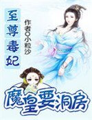 至尊毒妃:魔皇要洞房